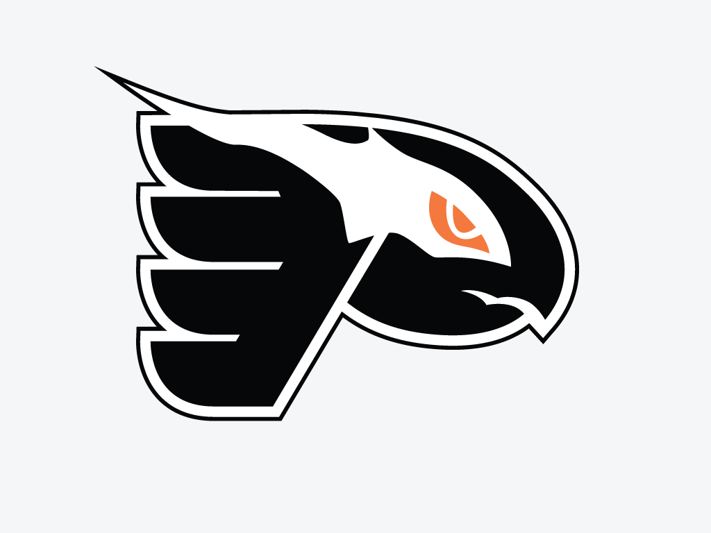Philadelphia Flying Shadow logo DIY iron on transfer (heat transfer)